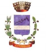 Stemma di Cittiglio